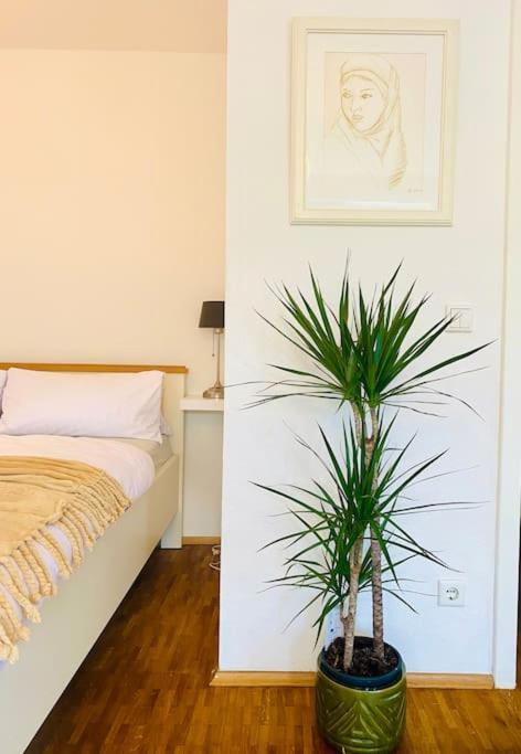 Nice And Calm Apartment In Duesseldorf Zewnętrze zdjęcie